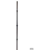2597 Series M653 Beaded Knuckle Venetian Iron Baluster